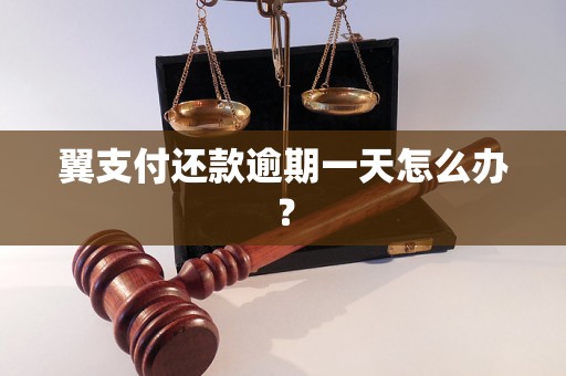 翼支付还款逾期一天怎么办？