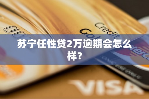 苏宁任性贷2万逾期会怎么样？