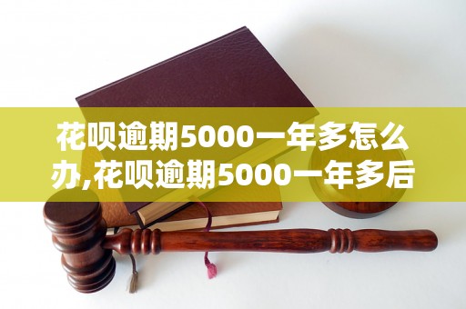 花呗逾期5000一年多怎么办,花呗逾期5000一年多后果严重吗