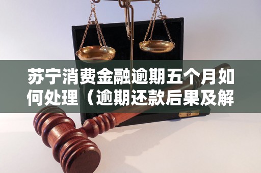 苏宁消费金融逾期五个月如何处理（逾期还款后果及解决办法）