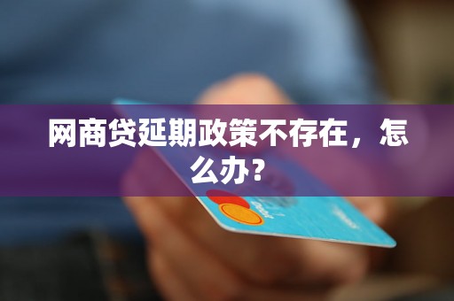 网商贷延期政策不存在，怎么办？