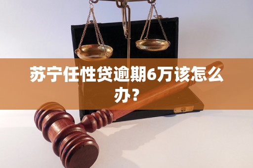 苏宁任性贷逾期6万该怎么办？