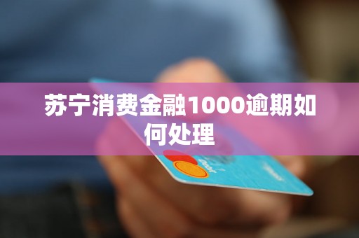 苏宁消费金融1000逾期如何处理