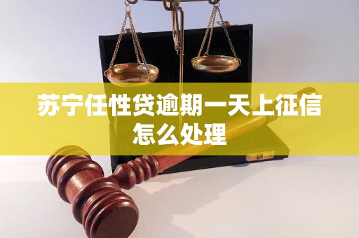 苏宁任性贷逾期一天上征信怎么处理