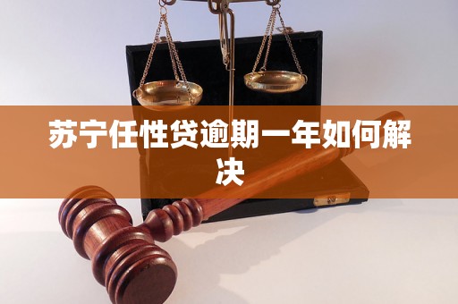 苏宁任性贷逾期一年如何解决