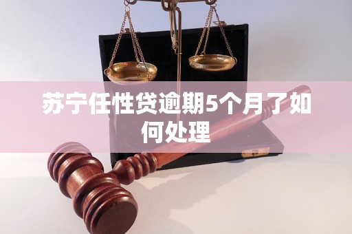 苏宁任性贷逾期5个月了如何处理