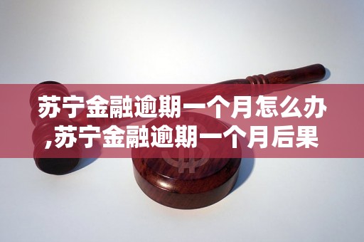 苏宁金融逾期一个月怎么办,苏宁金融逾期一个月后果严重吗