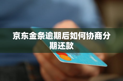 京东金条逾期后如何协商分期还款