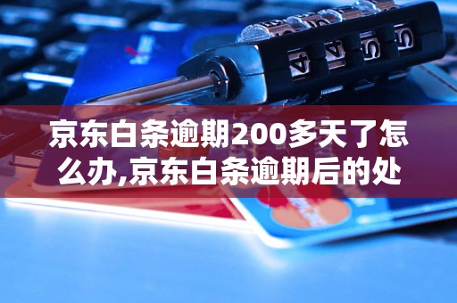 京东白条逾期200多天了怎么办,京东白条逾期后的处罚措施