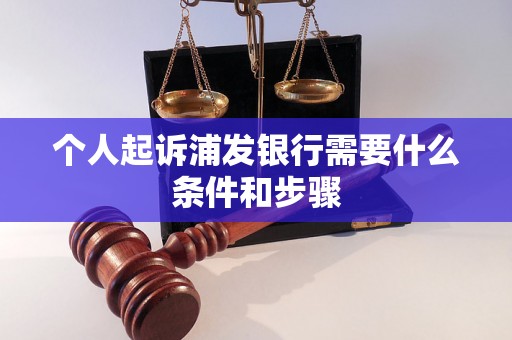 个人起诉浦发银行需要什么条件和步骤