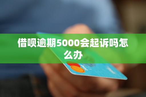 借呗逾期5000会起诉吗怎么办