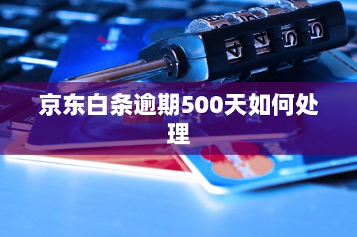 京东白条逾期500天如何处理