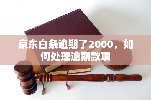 京东白条逾期了2000，如何处理逾期款项