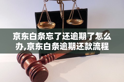 京东白条忘了还逾期了怎么办,京东白条逾期还款流程解析