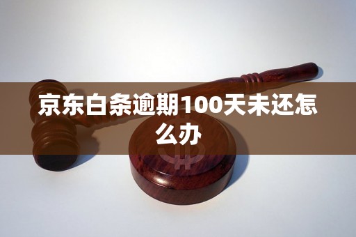 京东白条逾期100天未还怎么办