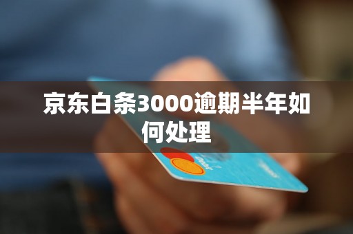 京东白条3000逾期半年如何处理