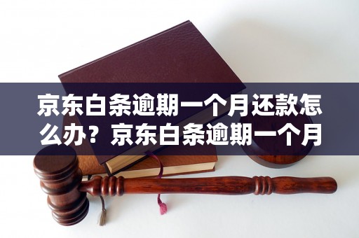 京东白条逾期一个月还款怎么办？京东白条逾期一个月的处罚措施是什么？