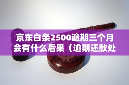 京东白条2500逾期三个月会有什么后果（逾期还款处理措施）