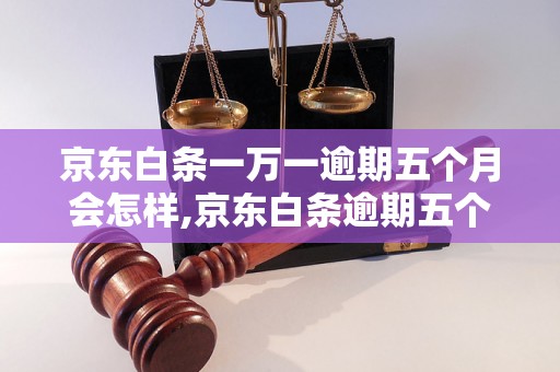 京东白条一万一逾期五个月会怎样,京东白条逾期五个月后的后果