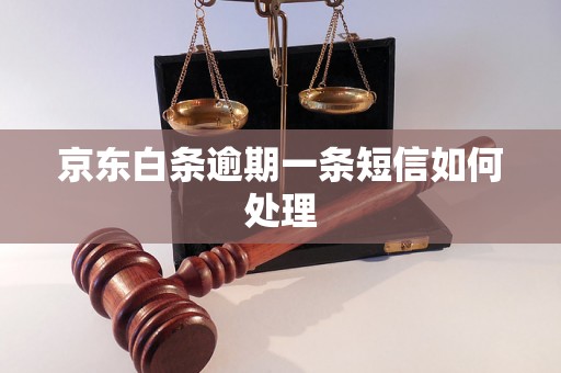 京东白条逾期一条短信如何处理