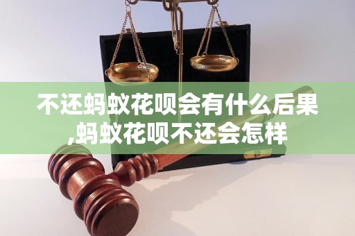 不还蚂蚁花呗会有什么后果,蚂蚁花呗不还会怎样