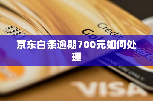 京东白条逾期700元如何处理