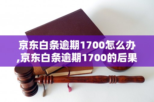 京东白条逾期1700怎么办,京东白条逾期1700的后果及解决方法