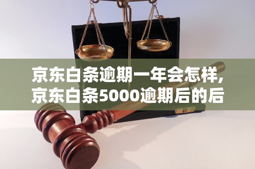 京东白条逾期一年会怎样,京东白条5000逾期后的后果