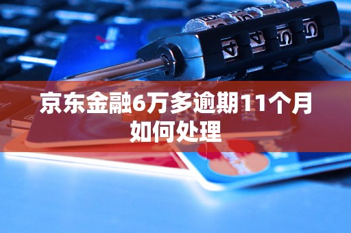 京东金融6万多逾期11个月如何处理