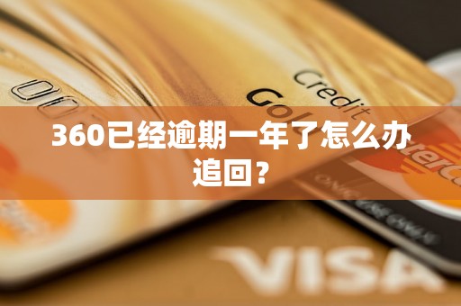 360已经逾期一年了怎么办追回？