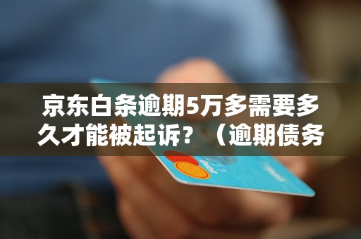 京东白条逾期5万多需要多久才能被起诉？（逾期债务处理流程详解）