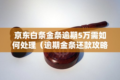 京东白条金条逾期5万需如何处理（逾期金条还款攻略）