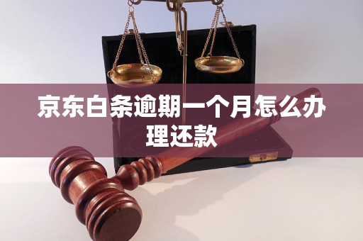 京东白条逾期一个月怎么办理还款