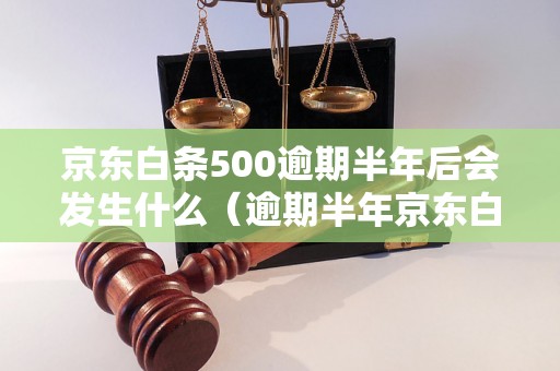 京东白条500逾期半年后会发生什么（逾期半年京东白条后果及处理方法）