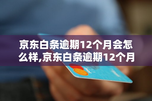 京东白条逾期12个月会怎么样,京东白条逾期12个月后果及处理方法