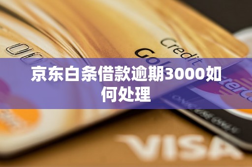 京东白条借款逾期3000如何处理