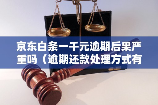 京东白条一千元逾期后果严重吗（逾期还款处理方式有哪些）