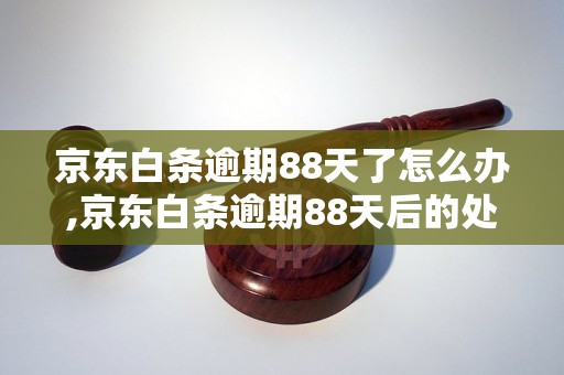 京东白条逾期88天了怎么办,京东白条逾期88天后的处罚措施