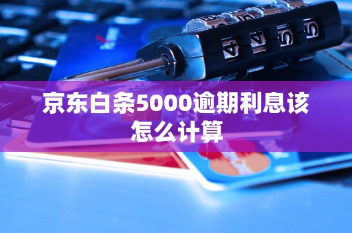 京东白条5000逾期利息该怎么计算