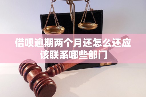 借呗逾期两个月还怎么还应该联系哪些部门