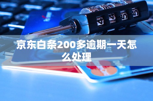 京东白条200多逾期一天怎么处理