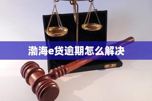 渤海e贷逾期怎么解决