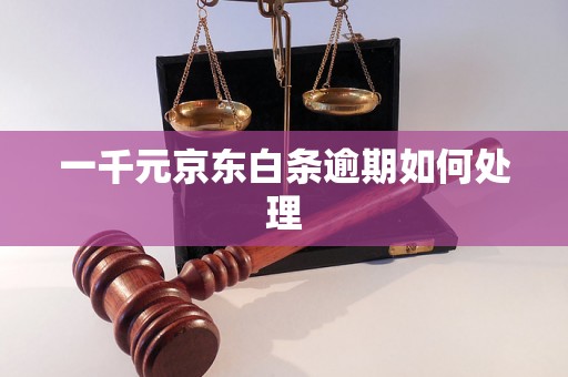 一千元京东白条逾期如何处理