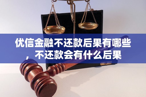 优信金融不还款后果有哪些，不还款会有什么后果