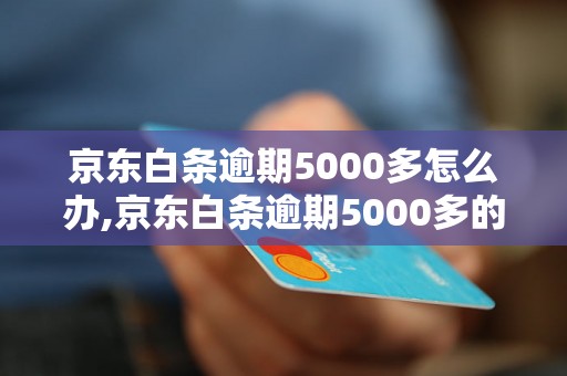 京东白条逾期5000多怎么办,京东白条逾期5000多的后果及解决方法