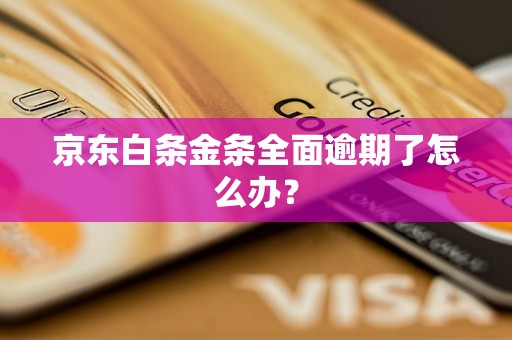 京东白条金条全面逾期了怎么办？