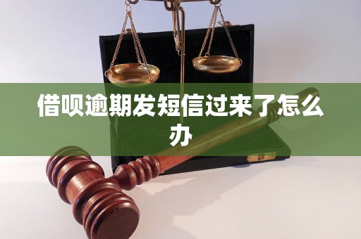 借呗逾期发短信过来了怎么办