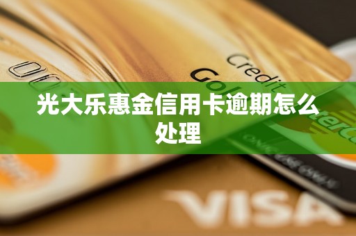 光大乐惠金信用卡逾期怎么处理