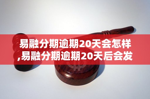 易融分期逾期20天会怎样,易融分期逾期20天后会发生什么