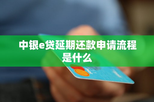 中银e贷延期还款申请流程是什么